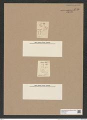 Omphalotheca jütlandica Grun. (de-Toni-Nr.: Genus 254) Zeichnungen Sammlung Grunow Nr. 9740 (NHMW-BOT-W0379690)